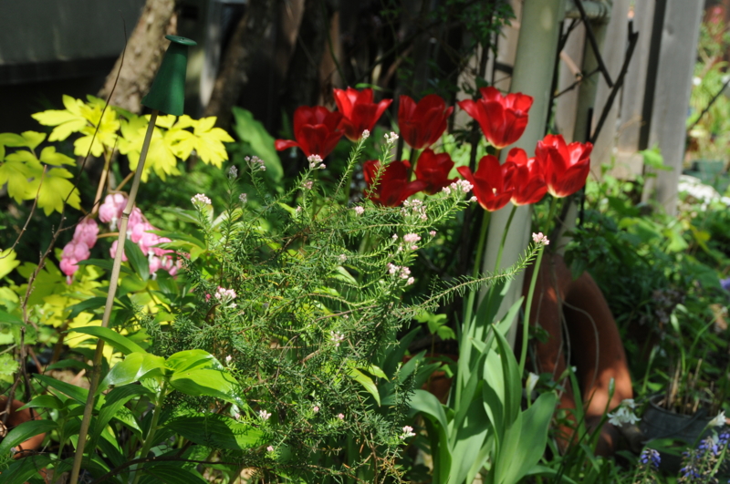 f:id:LAVANDNOUS:20140419110756j:image:w360 f:id:LAVANDNOUS:20140419110756j:image:w360