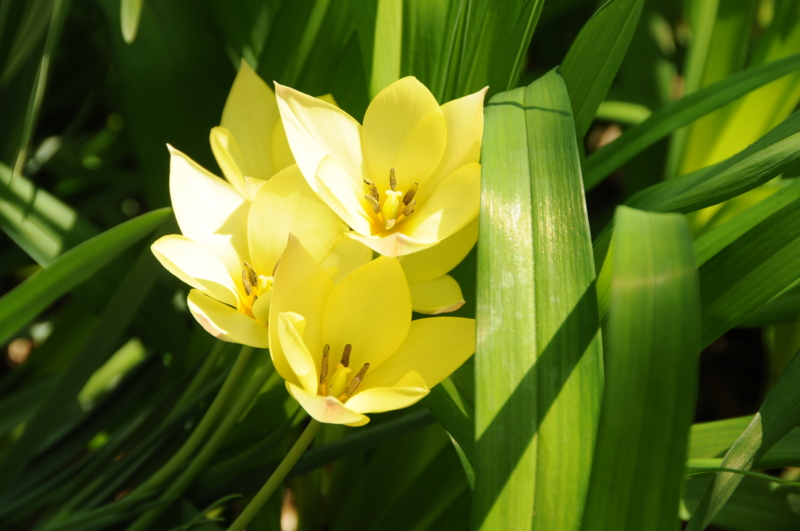 f:id:LAVANDNOUS:20140420004014j:image:w360