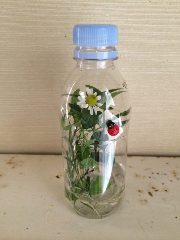 f:id:LAVANDNOUS:20140512101128j:image:w360:left f:id:LAVANDNOUS:20140512101128j:image:w360:left