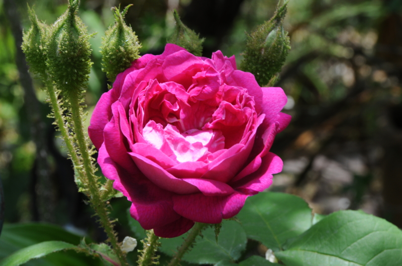 f:id:LAVANDNOUS:20140512125321j:image:w360 f:id:LAVANDNOUS:20140512125321j:image:w360