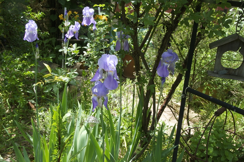 f:id:LAVANDNOUS:20140512125337j:image:w360 f:id:LAVANDNOUS:20140512125337j:image:w360