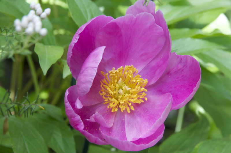 f:id:LAVANDNOUS:20140512125411j:image:w360 f:id:LAVANDNOUS:20140512125411j:image:w360