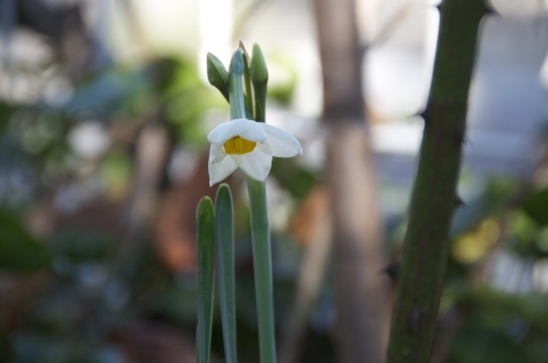 f:id:LAVANDNOUS:20151209222428j:image:w360 f:id:LAVANDNOUS:20151209222428j:image:w360