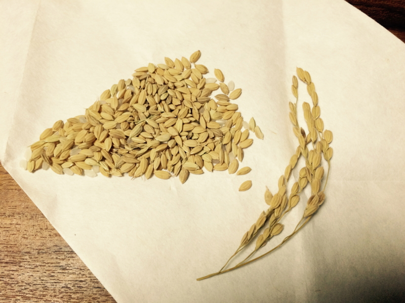 f:id:LAVANDNOUS:20151222104424j:image:w360 f:id:LAVANDNOUS:20151222104424j:image:w360