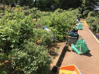 f:id:LAVANDNOUS:20170429101627j:image f:id:LAVANDNOUS:20170429101627j:image