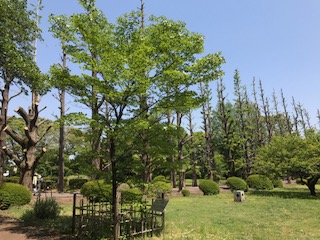 f:id:LAVANDNOUS:20170429124820j:image f:id:LAVANDNOUS:20170429124820j:image