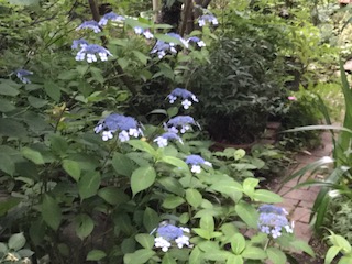 f:id:LAVANDNOUS:20170611180157j:image f:id:LAVANDNOUS:20170611180157j:image