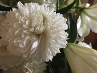 f:id:LAVANDNOUS:20171024122253j:image f:id:LAVANDNOUS:20171024122253j:image