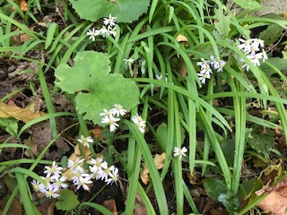 f:id:LAVANDNOUS:20171205082625j:image