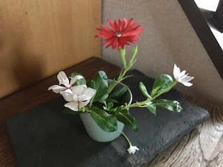 f:id:LAVANDNOUS:20180726110312j:image