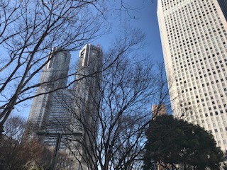 f:id:LAVANDNOUS:20190105103441j:image f:id:LAVANDNOUS:20190105103441j:image