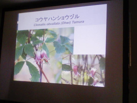 イメージ 7