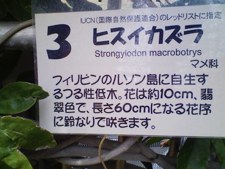 イメージ 8