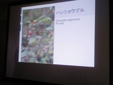 イメージ 10