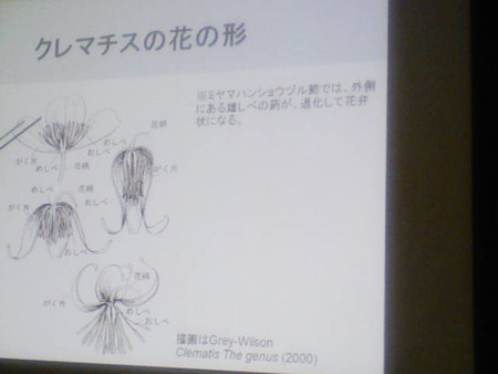 イメージ 13