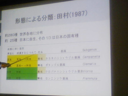 イメージ 14