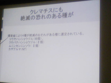 イメージ 15