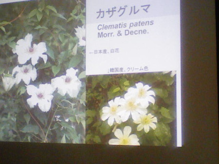 イメージ 16