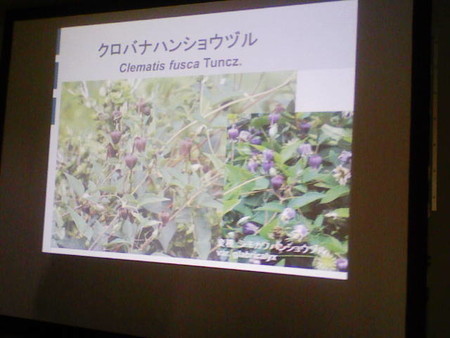 イメージ 17