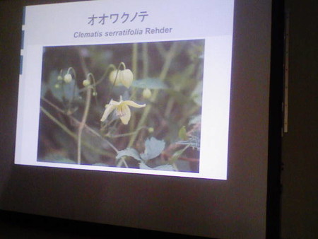 イメージ 18