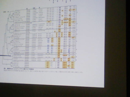 イメージ 19