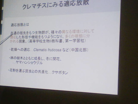 イメージ 20