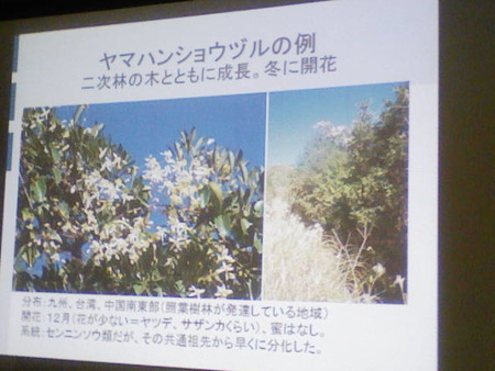 イメージ 21