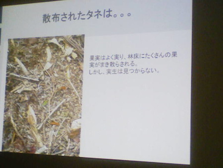 イメージ 23