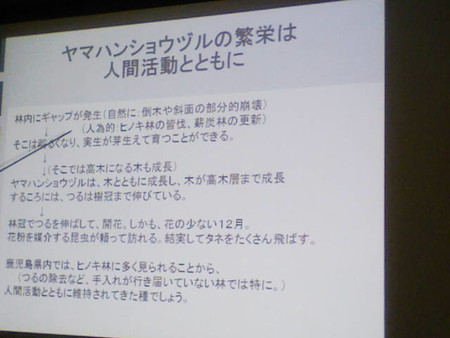 イメージ 24