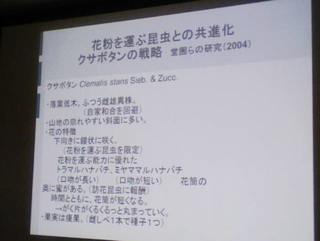 イメージ 25
