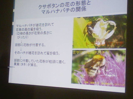 イメージ 26