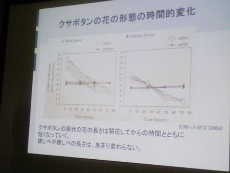 イメージ 27