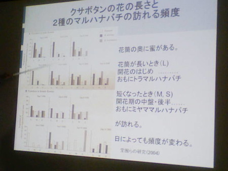 イメージ 29