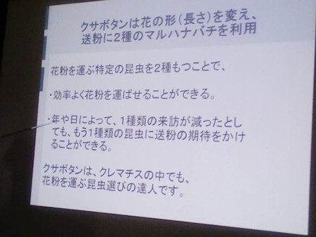 イメージ 30