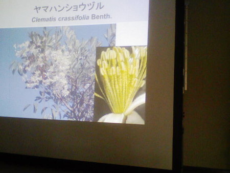 イメージ 31
