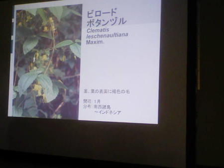 イメージ 32
