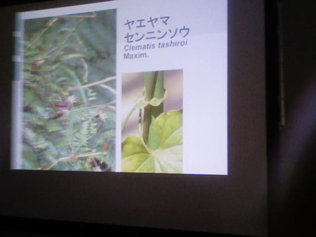 イメージ 33