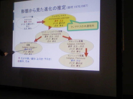 イメージ 35