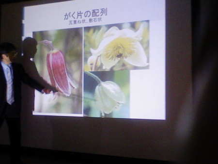 イメージ 36