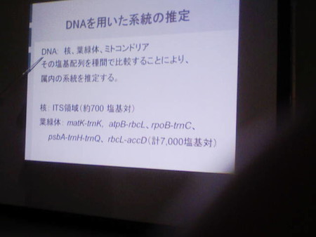 イメージ 37