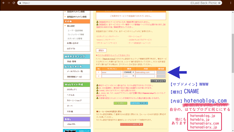 f:id:LBpicnic:20181118050928j:plain DNS設定画面