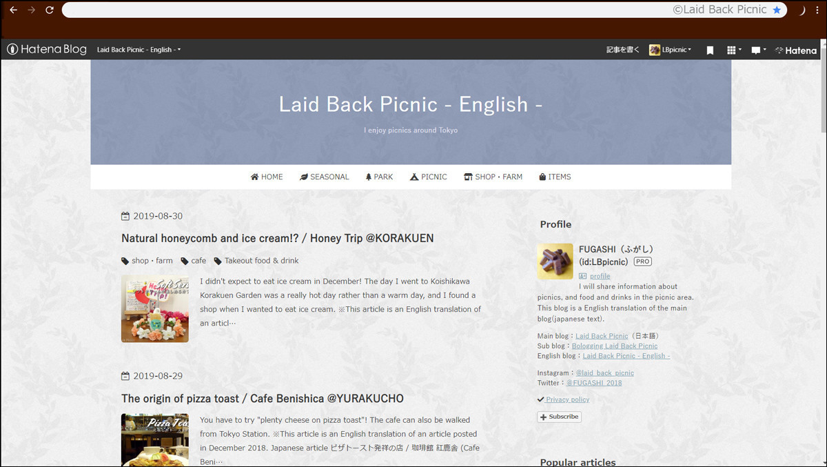 ブログのトップ