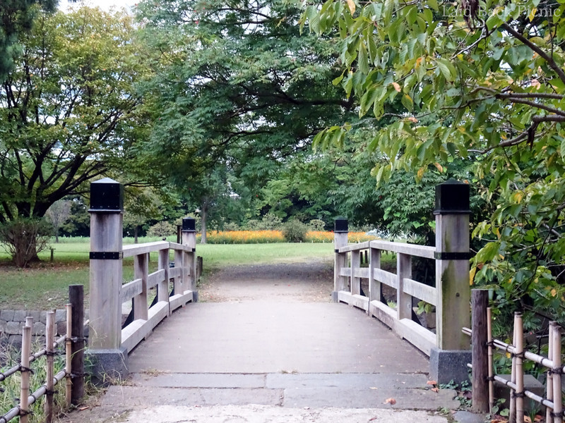 橋の奥には花畑