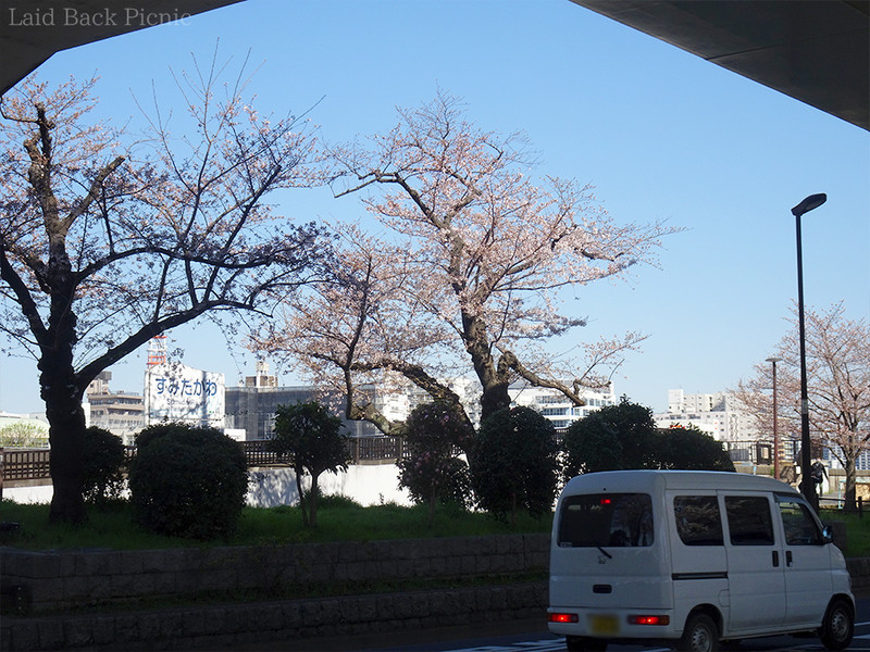 上に高速道路