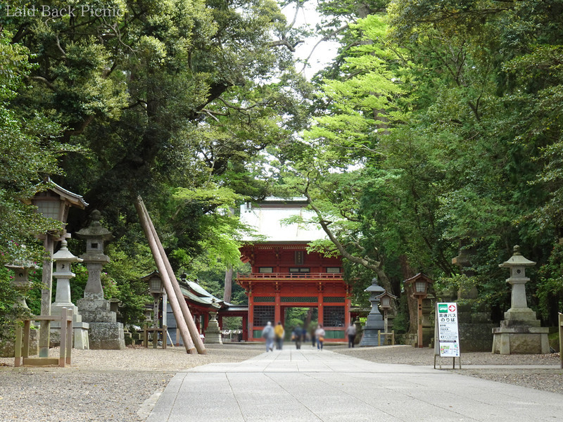 参道沿いの樹木は緑が鮮やか