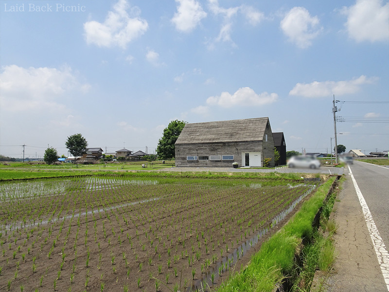 目の前には田んぼ