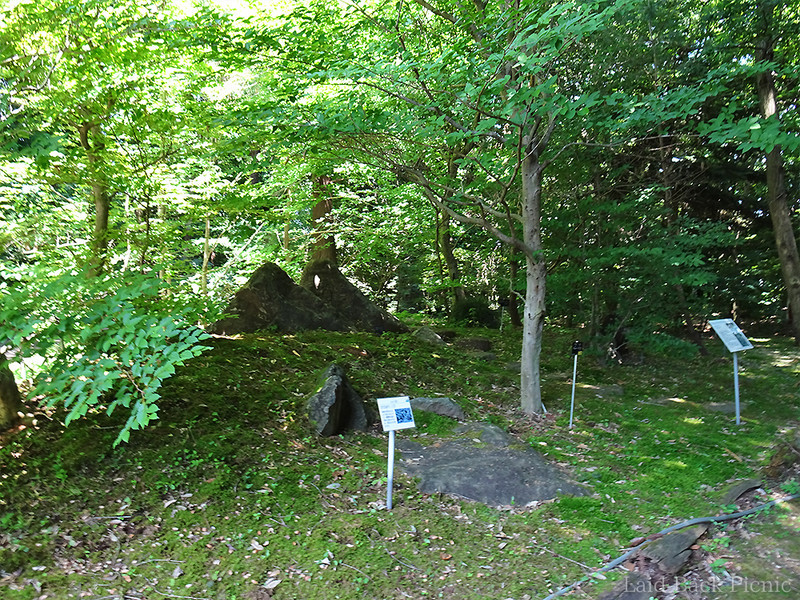 高尾山の植物がまとめられた場所