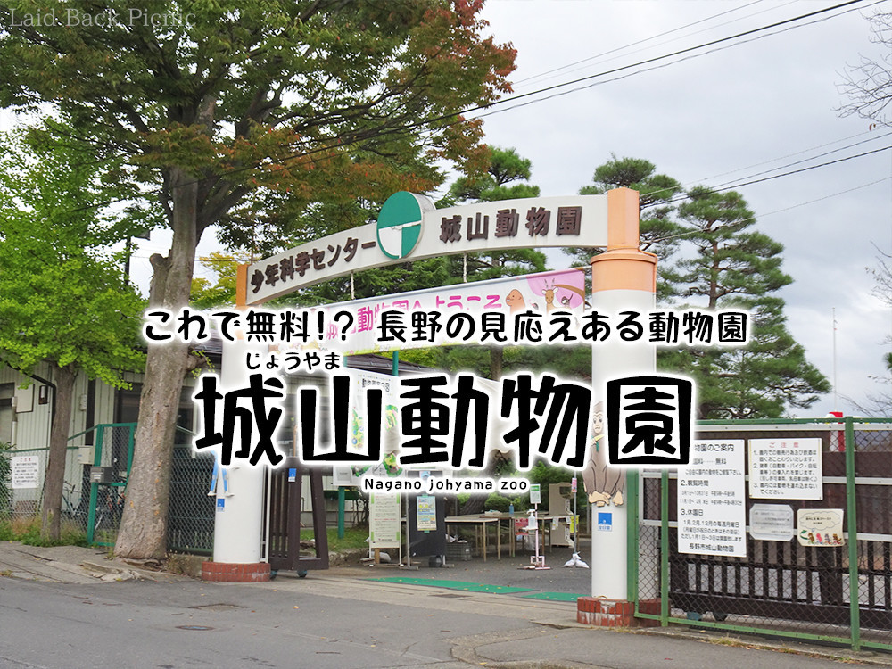 ブログ記事タイトル