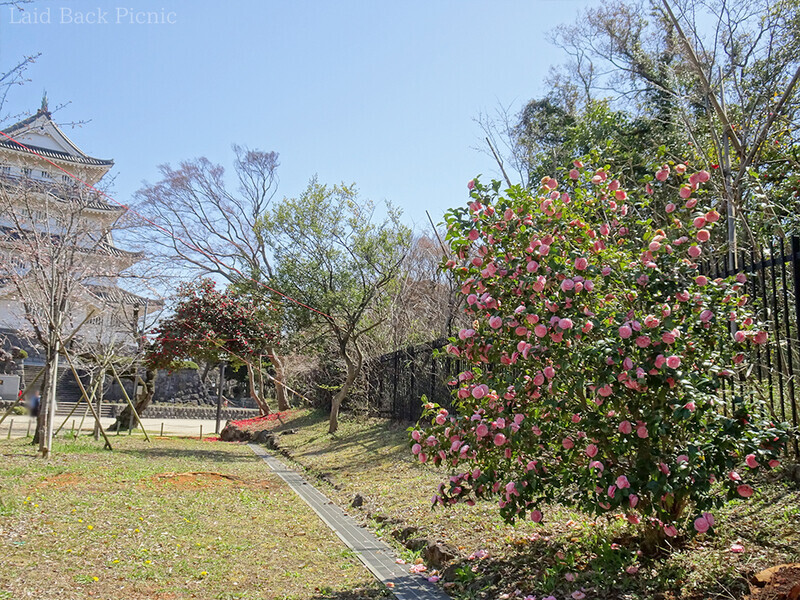 亥鼻城の周りは公園として整備されている