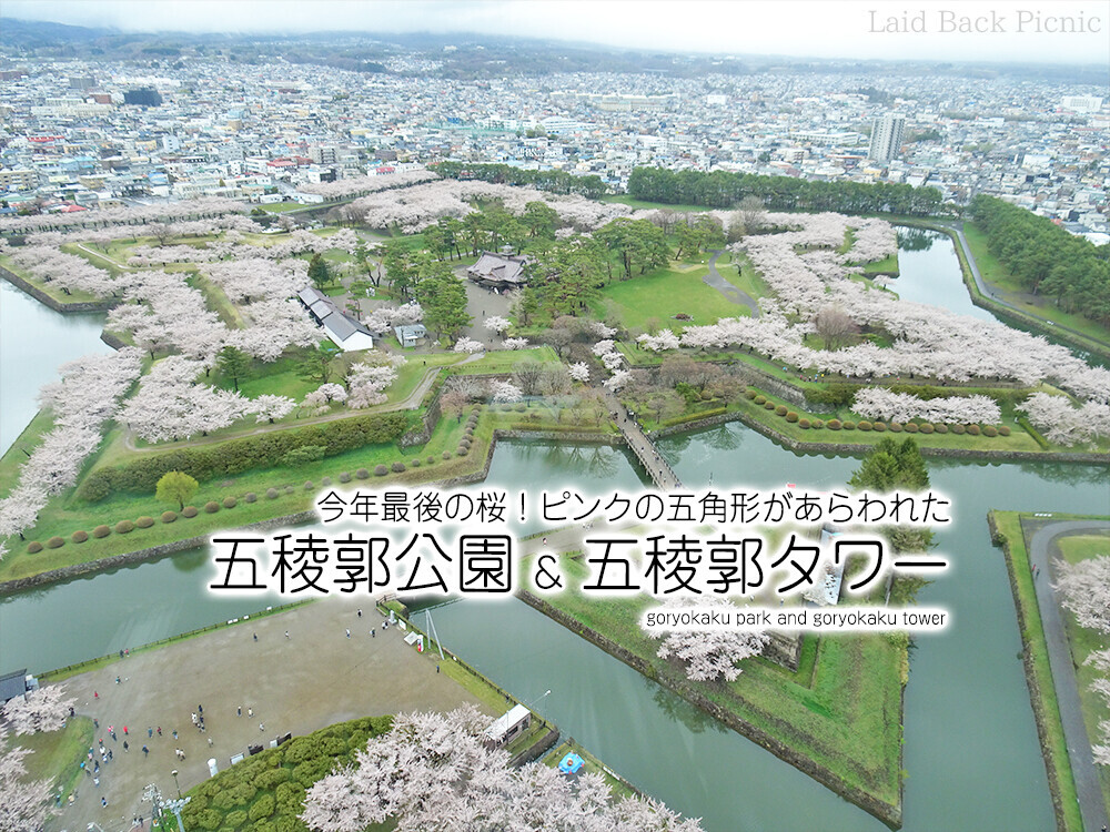 ブログ記事タイトル